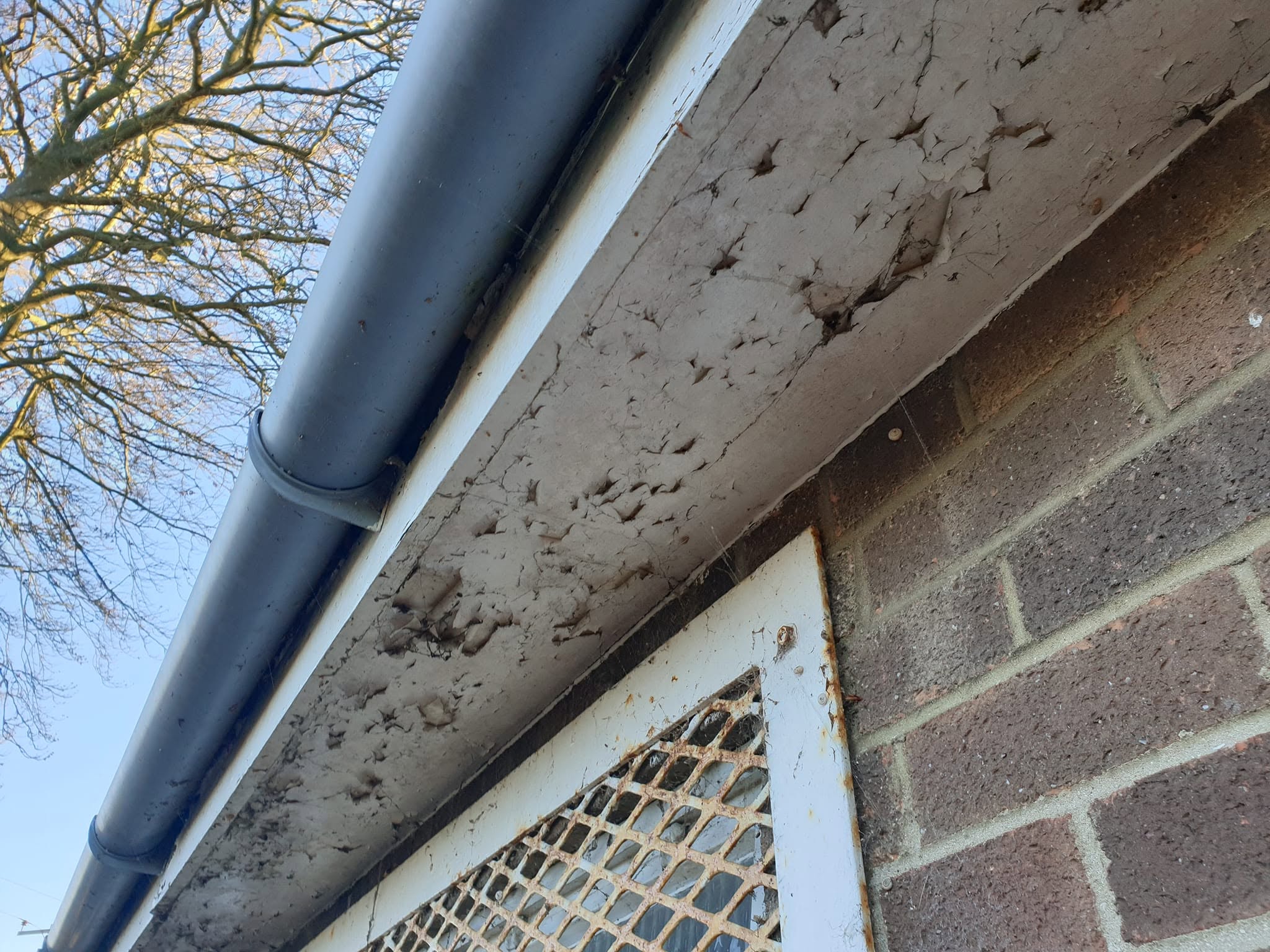 Asbestos in guttering